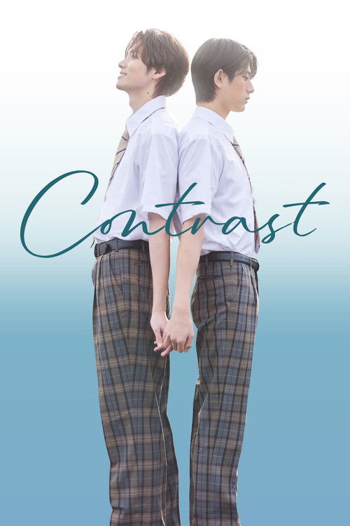 Contrast (2026)