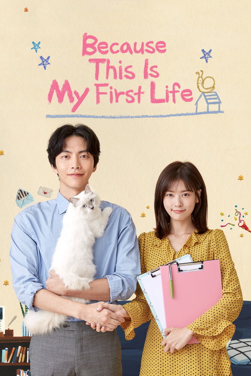 Because This Is My First Life (2017)