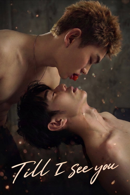 Till I See You (2026)