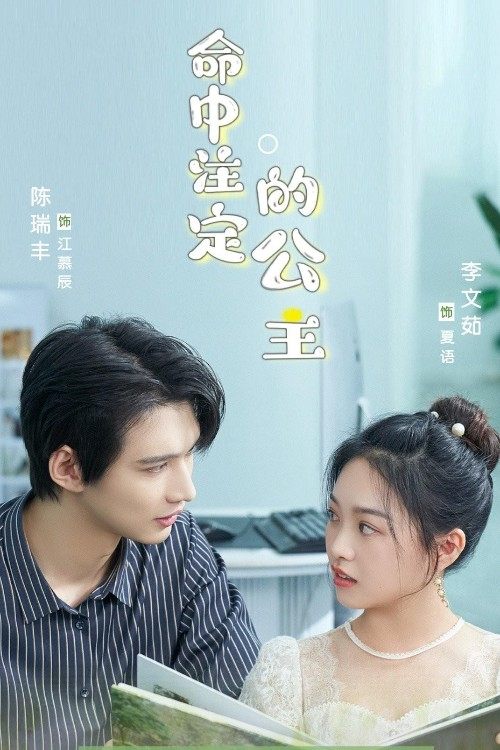 The Princess of Destiny (2023)