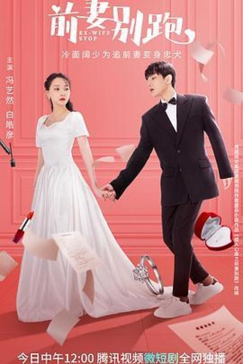Ex-Wife Stop  (2022)